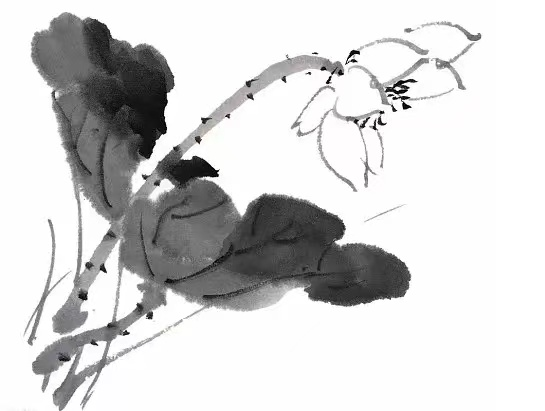 图片6.png 图片6.png