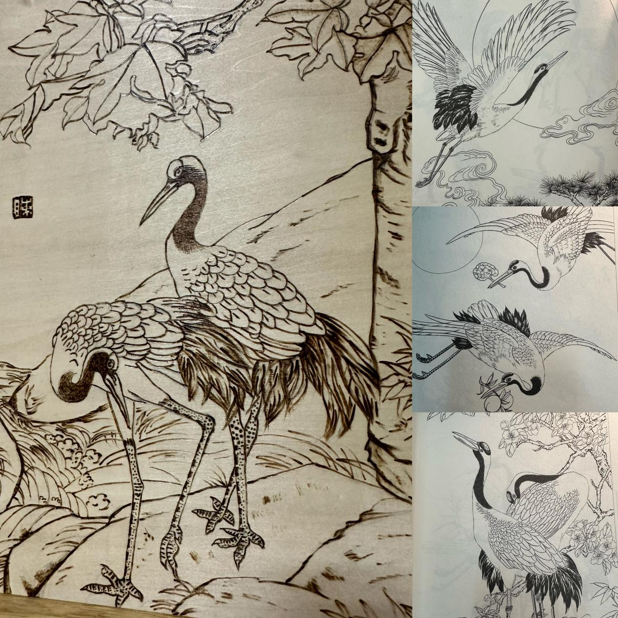 图片10.png