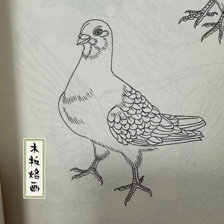 图片7.png
