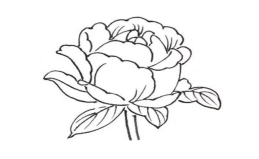 e76ea43857c2cadc4a982044530411b.png