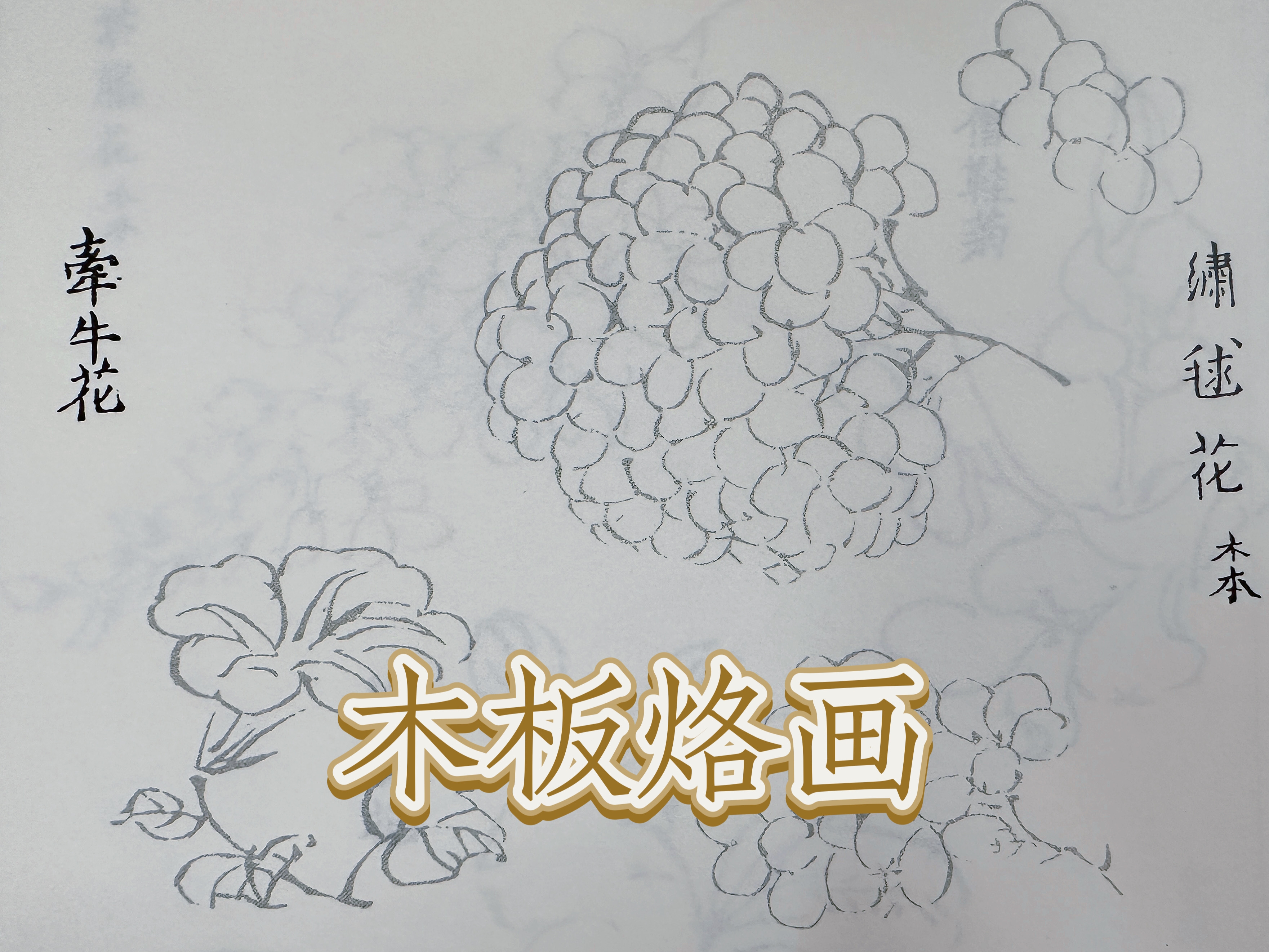 WPS图片3.jpeg