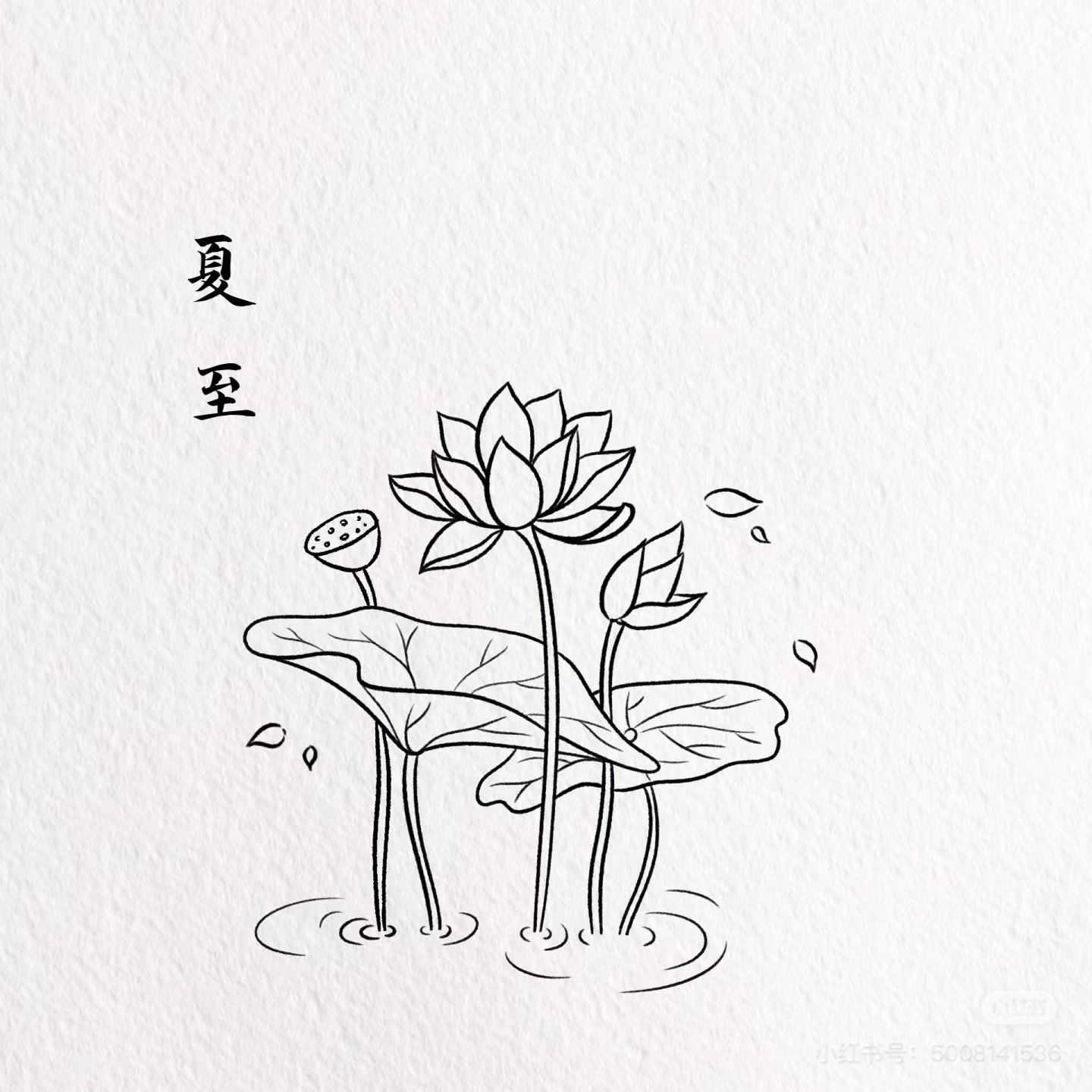 微信图片_20250709164015.jpg